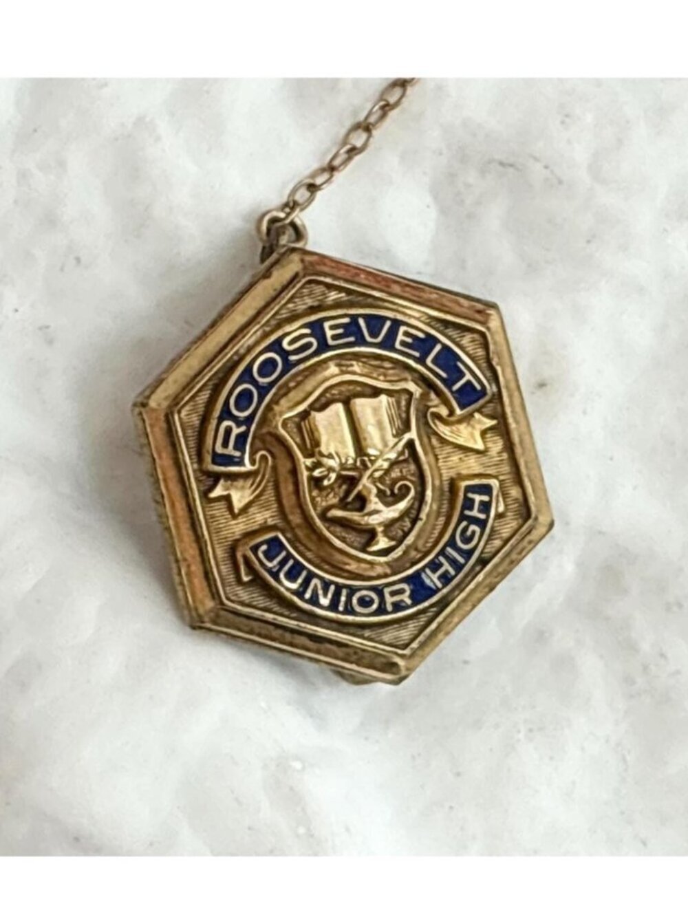 Roosevelt Junior High School Octagonal Vintage Gold T Lapel Pin | Tie Tack